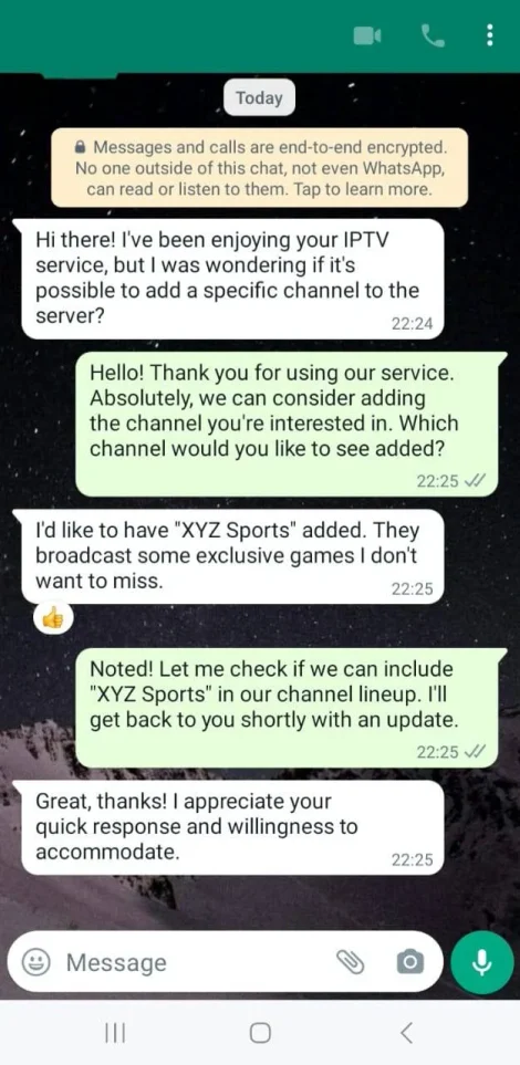 Customer WhatsApp conversation 2